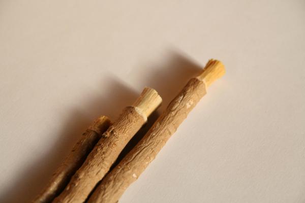 چوب مسواک مفید است یا مضر؟